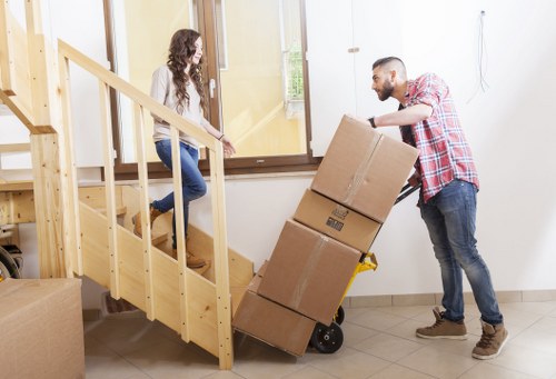 Modern filing and shelving office storage in Rushgreen
